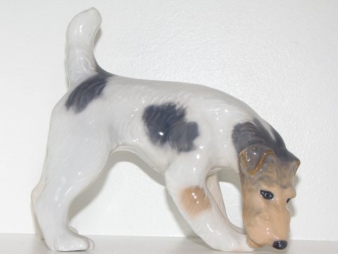 Royal Copenhagen figurine
Wirehaired terrier