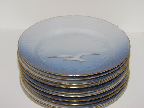 Måge med guldkant
Stor desserttallerken 17,5 cm.