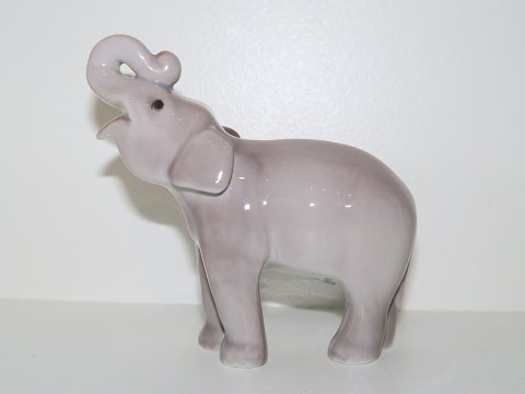 Small Bing & Grondahl figurine
Elephant