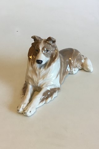 Royal Copenhagen Figur af Collie No. 1701