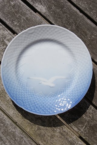 Måge uden guld porcelæn, store kagetallerkener 17,5cm