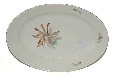 Kaktus Bing og Grndahl