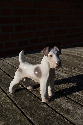 Bestellnummer: f-BG 1998 Terrier