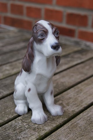 item no: f-Lyngby Cockerspaniel 85X