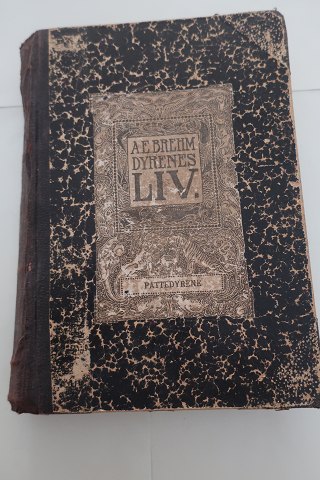 Dyrenes LivPattedyrRigt illustreretAf A. BrehmBind IFrem, Gyldendals Boghandel, Nordisk Forlag1907Sideantal: 526