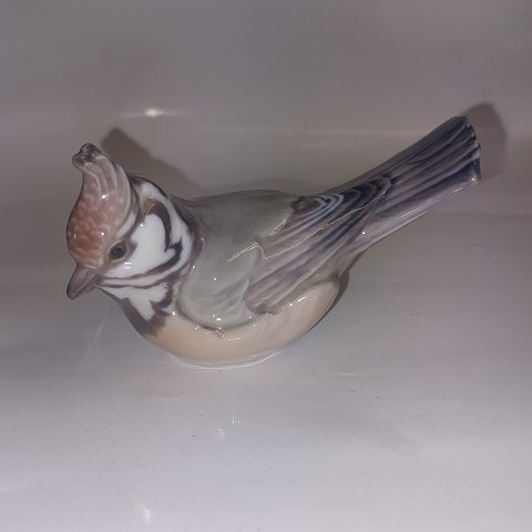 Dahl Jensen: Topmajse fugl i porcelæn