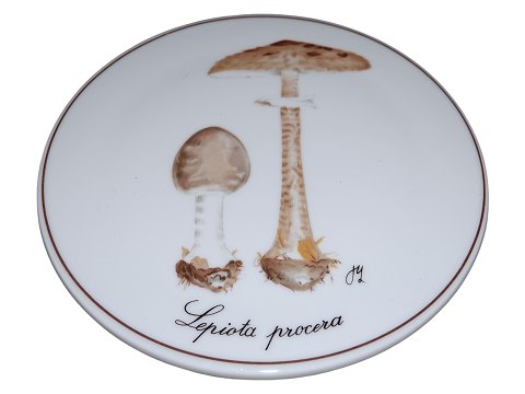 Mushroom plates<br>Bing & ...