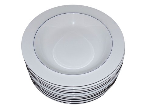 Blue Line
Large soup plate 23.7 cm. #3073