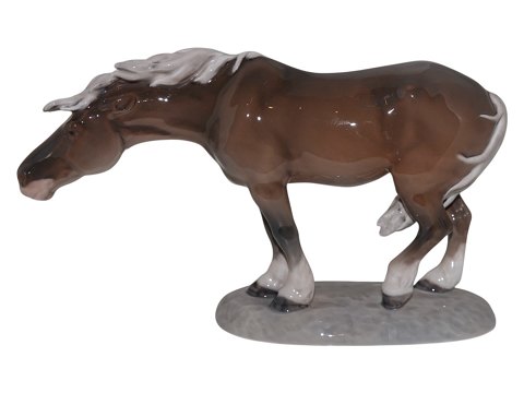 Andre Dyr<br>Royal ...