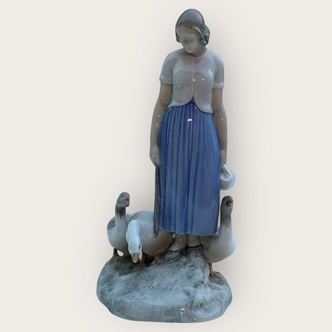 Bestellnummer: 627905