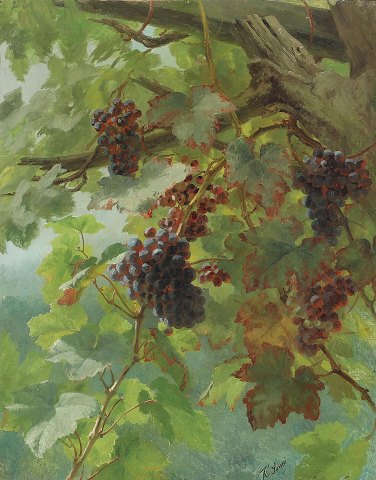 "Blå vindruer" maleri i forgyldt ramme, maleriet er med forstærket lærred.