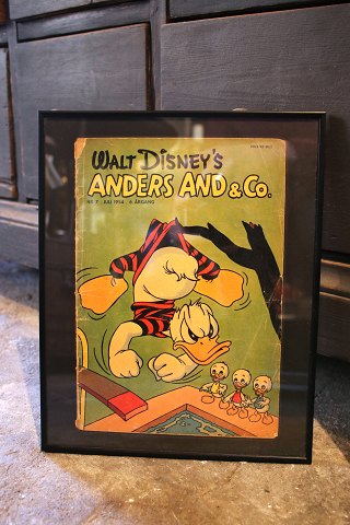 Decorative, old Walt Disney Donald Duck magazines from 1954 , framed in a black frame. 30x24cm...