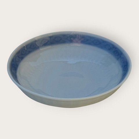 Royal C: Blue Fan / Bl� Vifte
