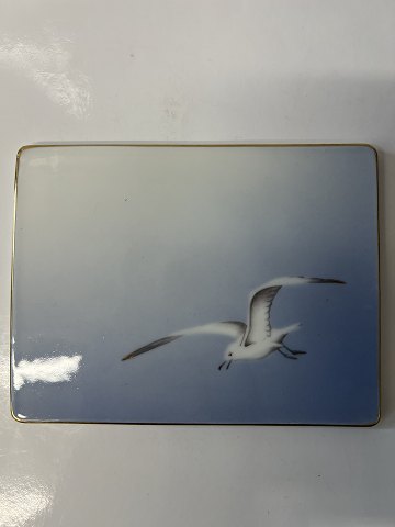 Seagull with gold, Bing & ...