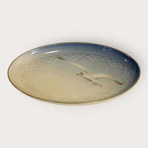 B&G: M�ge guld