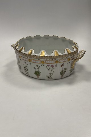 Royal Copenhagen Flora Danica Iskumme No. 20/3531