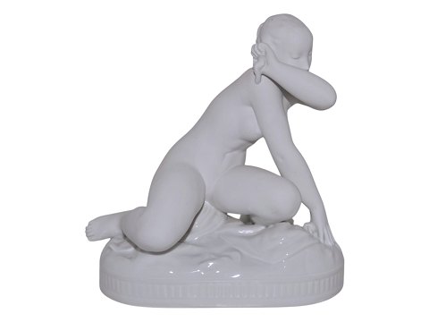 White<br>Royal ...