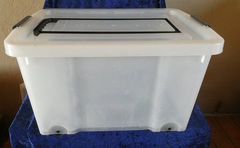 main