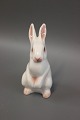 B&G porcelain figurine, White rabbit, no. 2443.5000m2 showroom.