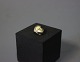 Pendant in 14 ct. gold with a small Shell.5000m2 showroom.