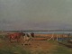 Niels Christiansen: Two cows on the beach bed.
1200,-DKK