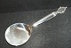 Cake server / Tomato Server / tarteletspade Queen / Acantus # 180Sold