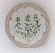 Royal Copenhagen Flora Danica. Dinner plate. Design # 3549. Diameter 25 cm. (1 
quality). Veronica agrestis L