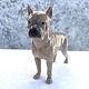 Bing & Grondahl
Boxer dog
# 2212
*500 DKK