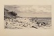 Carl Bloch (1834–1890). Etching of a Danish coastal landscape with a sailboat on the horizon. From the northern coast of Zealand, Hornbæk Plantation.