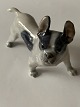 Royal Copenhagen figur af Boston terrier No 1457, 2. Sortering.
SOLGT