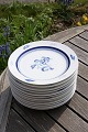 Blue Carnation Danish B&G porcelain.
Luncheon plates 21.5cm