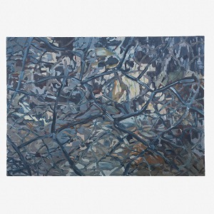 no.1056003 no.1056003