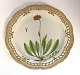 Royal Copenhagen. Flora Danica. Round serving plate with open-work border. Model 
# 3528. Diameter 33 cm. (1 quality). Hieracium aurantiacum L