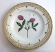 Royal Copenhagen Flora Danica. Dinner plate. Design # 3549. Diameter 25 cm. (1 
quality). Trifolium alpestre Mill