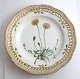 Royal Copenhagen. Flora Danica plate w. open-work border. Diameter 25 cm. Model 3553. (1 quality). Hieracium pilosella L