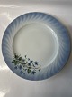 Dinner plate Christineholm PorcelainNumber 3Diameter 25 cm