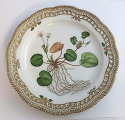 item no: 641601