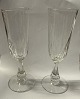 Derby champagneglas / champagnefløjter