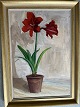 Maleri af Domenico Inganni 1950 - Amaryllis i potte.