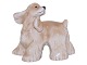 Royal Copenhagen figurAmerikansk cockerspaniel