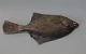 Kongelig Dansk 0282 Fladfisk - rødspætte 
