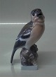 Lyngby Porcelænsfigur # 07 Fugl: Bogfinke (Fringilla coelebs)
