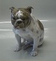 B&G figur2083 Engelsk Bulldog siddende 15 x 16 cm