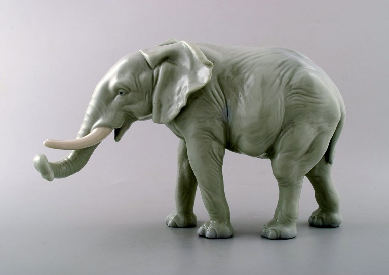 Karl Ens, Germany. Porcelain figurine. Large elephant.
