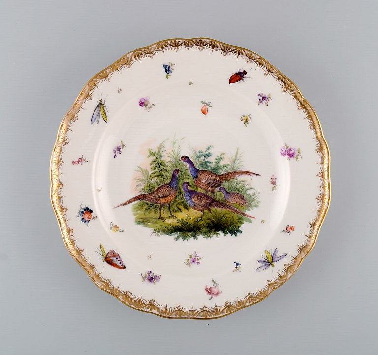Antik og sjælden Meissen porcelænstallerken med håndmalede fugle, insekter og gulddekoration. 1800-tallet.
