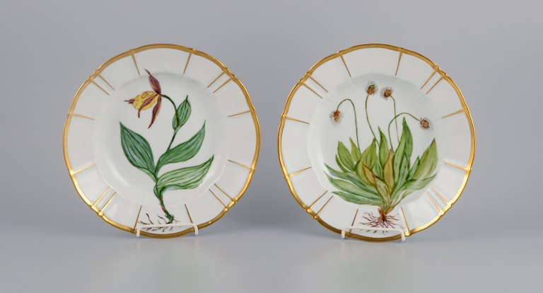 Bing & Grøndahl, to dybe tallerkner, håndmalet i Flora Danica stil. Privatdekoreret.