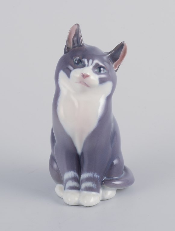 Royal Copenhagen. Porcelain figurine of a sitting cat.
