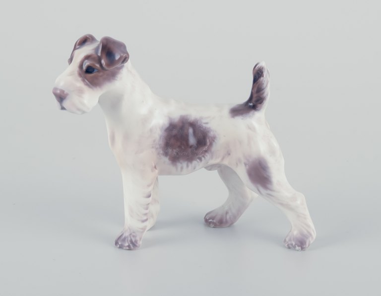 Dahl Jensen, porcelain figurine of a fox terrier.